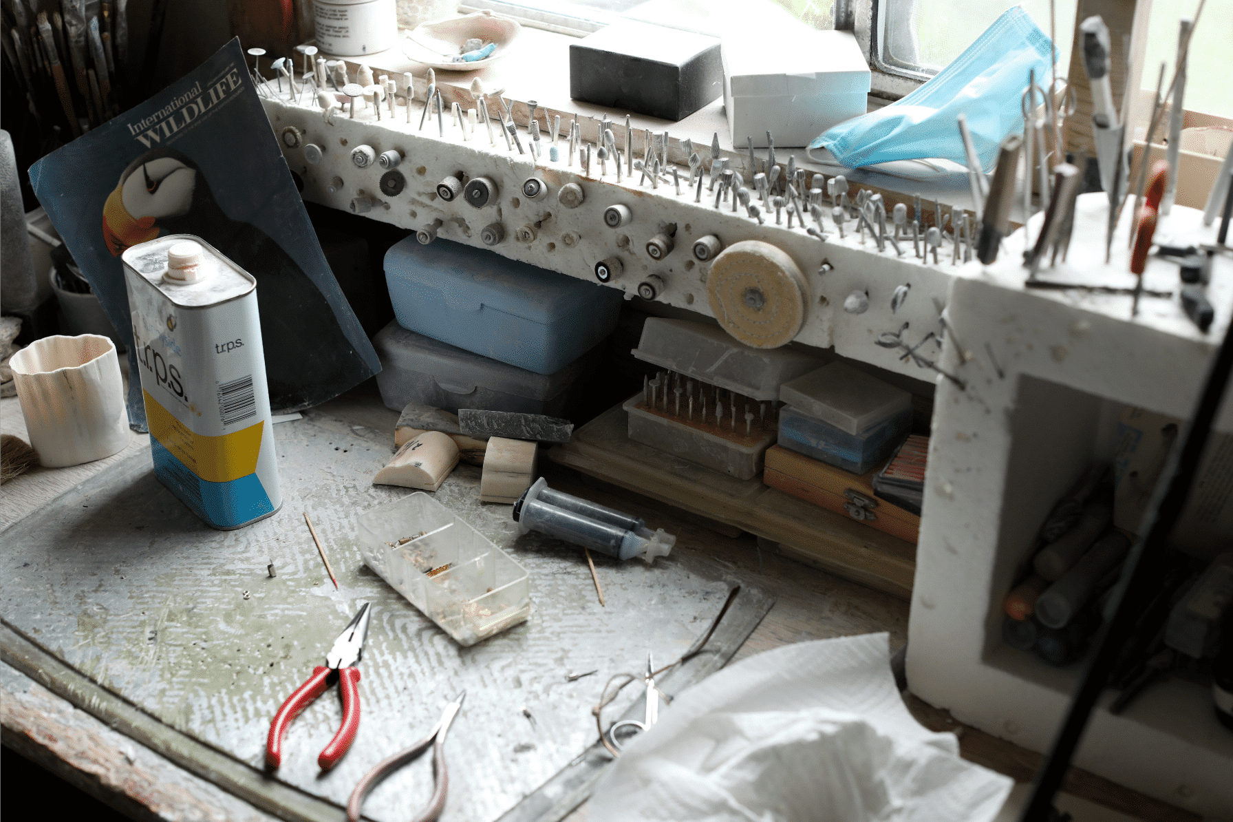 Gertrude studio