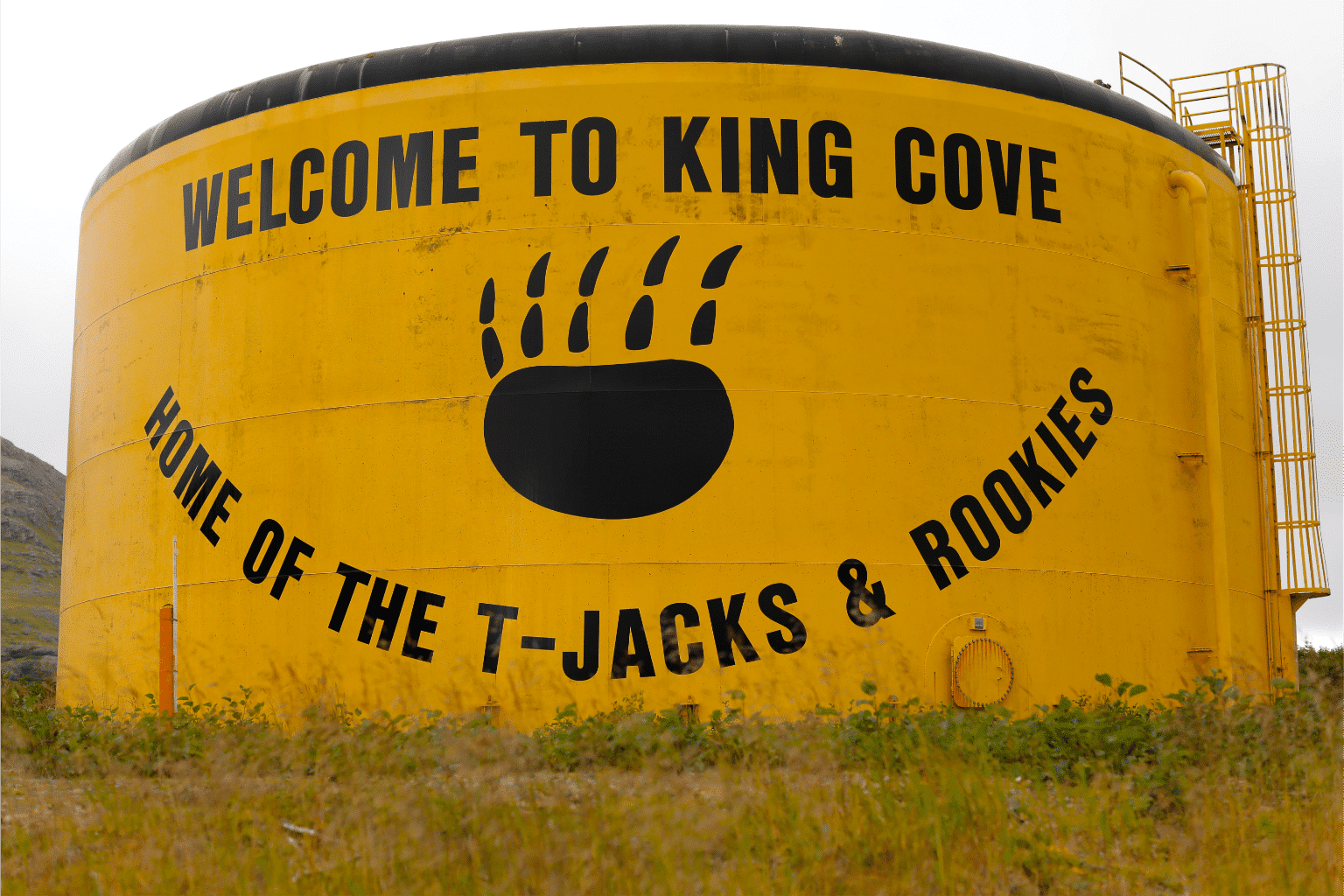 Welcome to King Cove