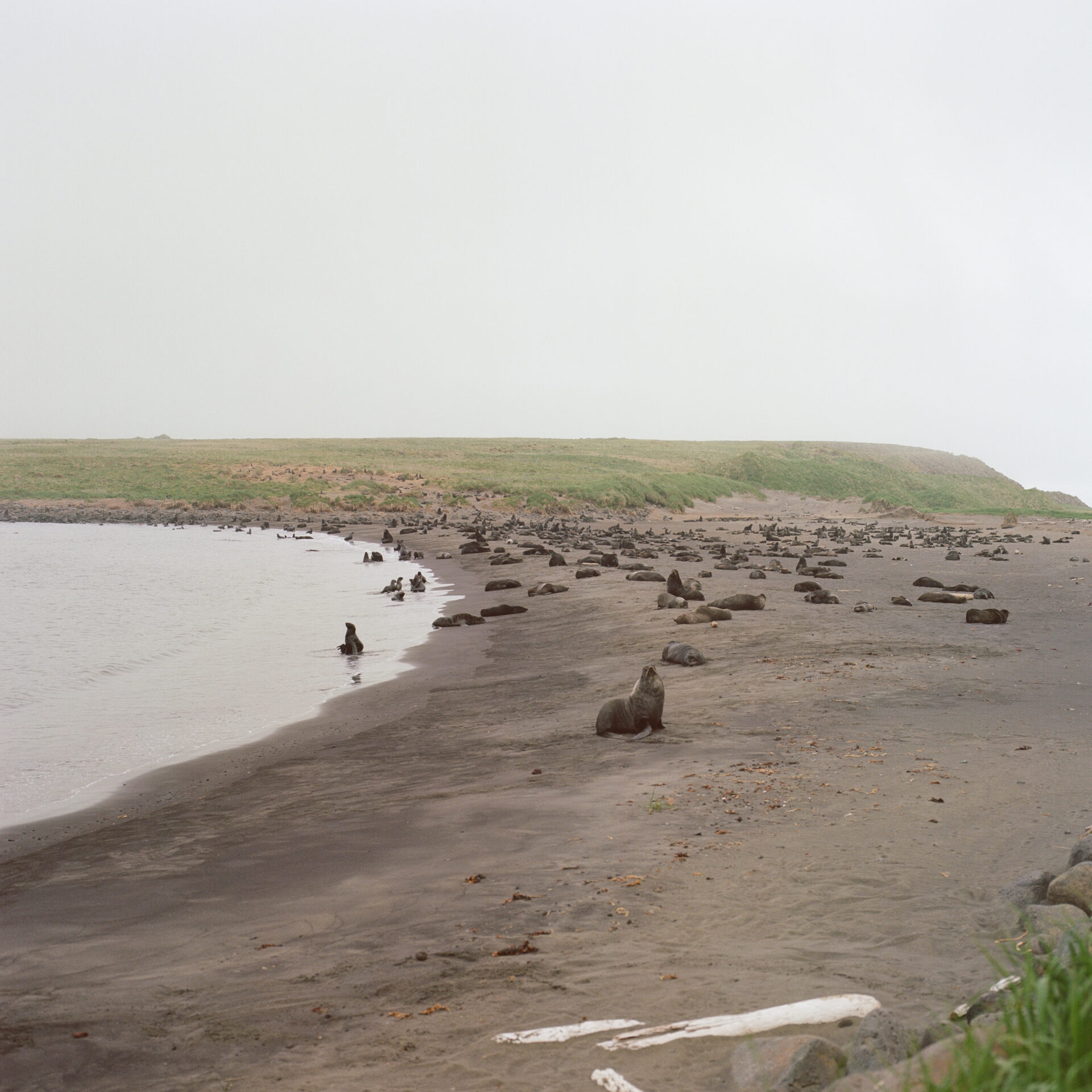 St. Paul, Alaska 2023: Aleut Corp