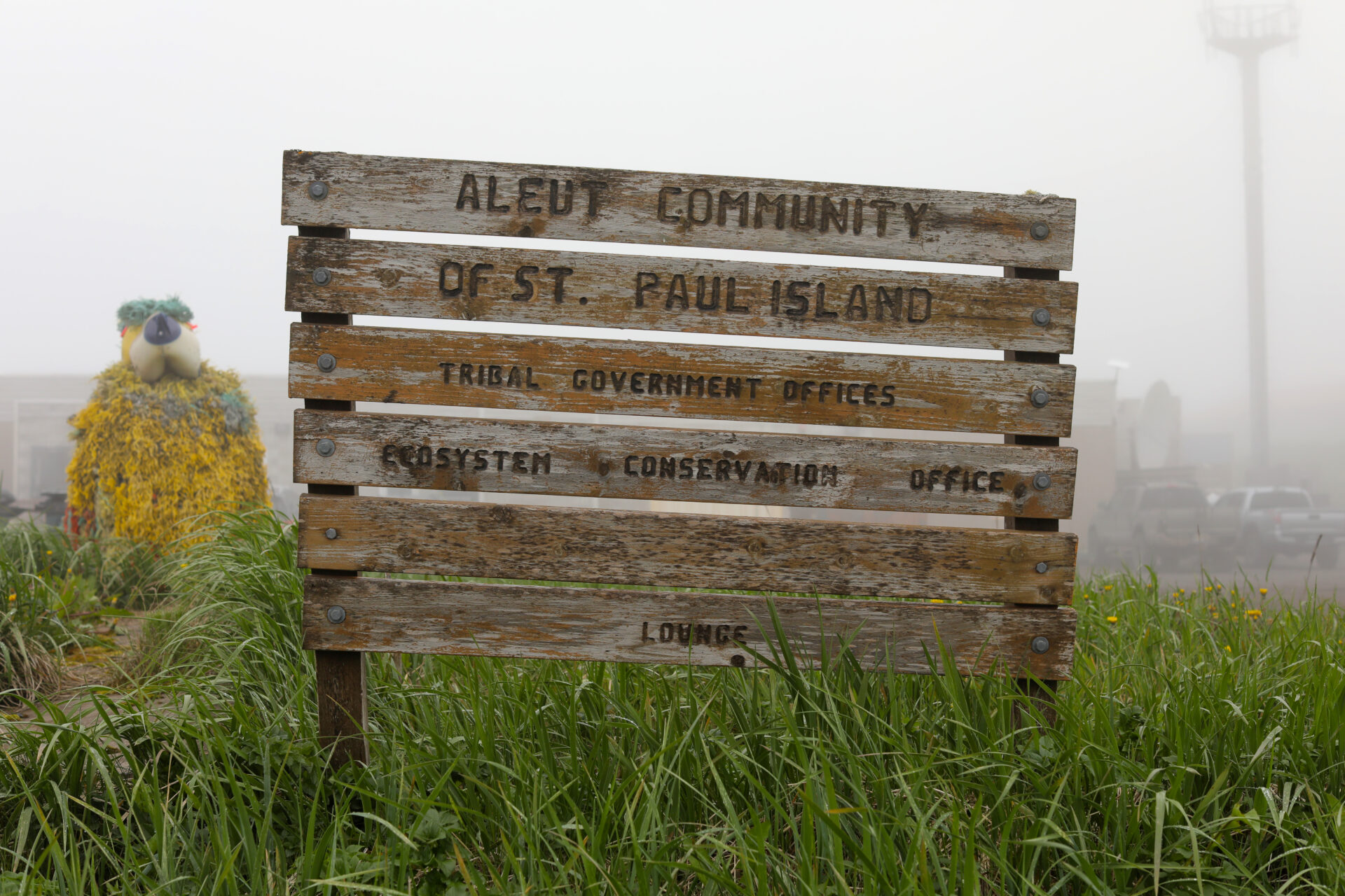 St. Paul, Alaska 2023: Aleut Corp