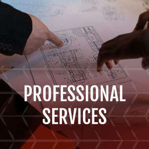 Professional Services