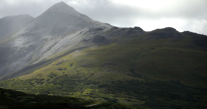 Aleut Region