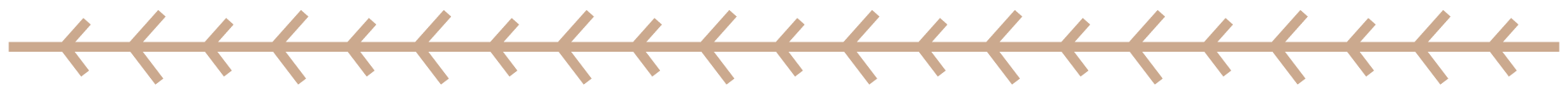 Arrowed Line Sand