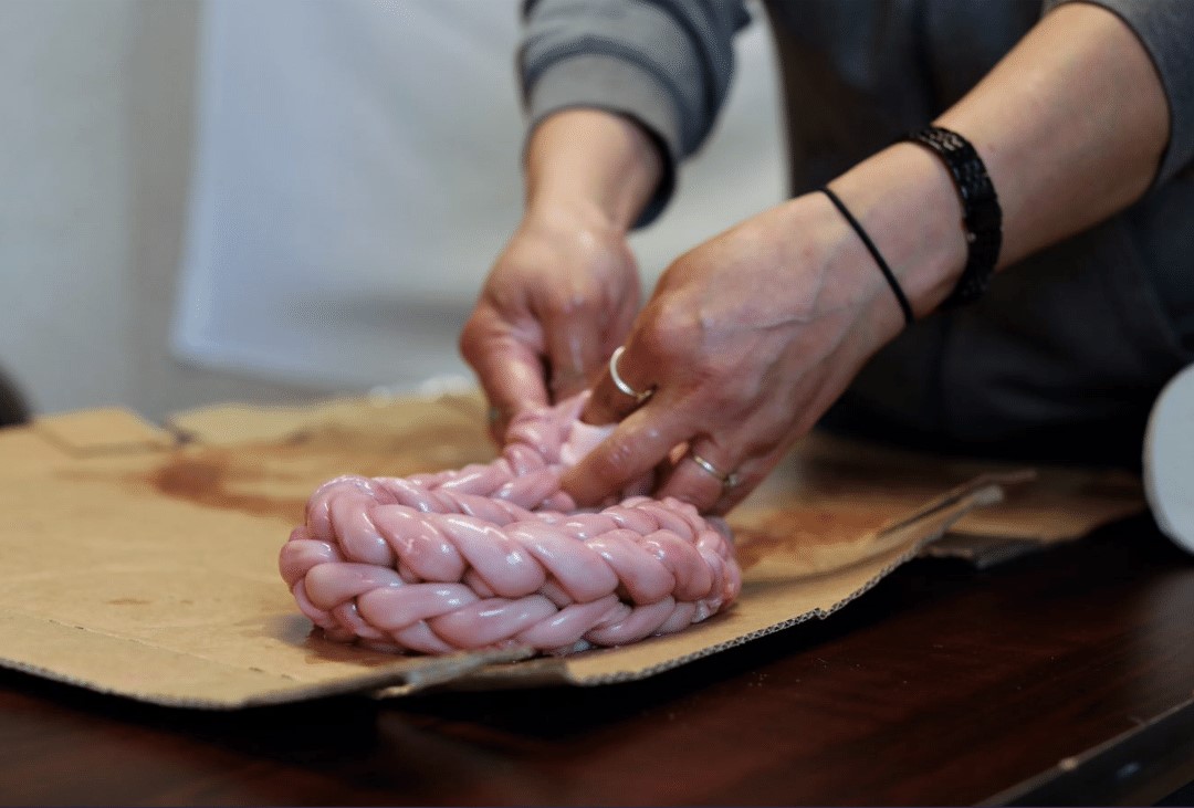 Braiding Seal Intestine Cropped