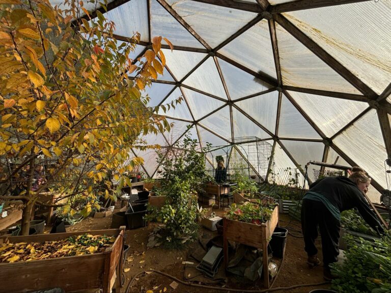 Inside of Greenhouse