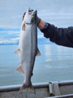 Sakred Salmon - Holding up Salmon