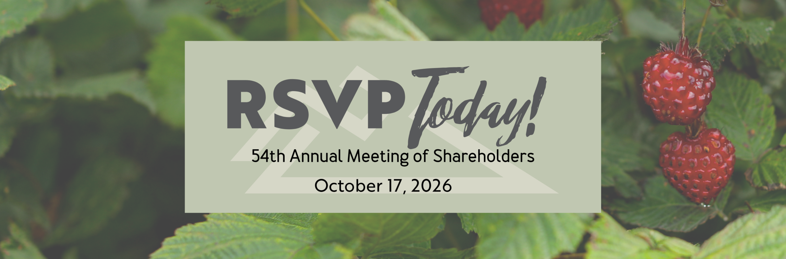 RSVP 54th AM Webpage Header