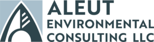 AEC Logo FC Digital