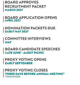 BoD Candidate Process Schedule